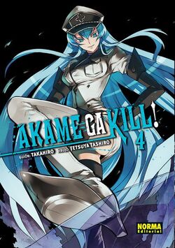 アカメが斬る! 13 (Akame ga KILL!, #13) by Takahiro