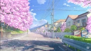 Anime-sakura.jpg