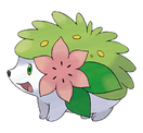 Shaymin (fallecido)