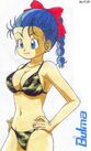 Bulma in Bikini 4 by The BulmaLover