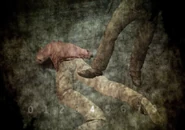 SESSION 5-26, part 4 - Michael Grant (4).png (345 KB)