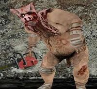 piggsy.jpg
