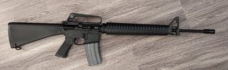 Real life Assault Rifle