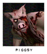 Characters piggsy