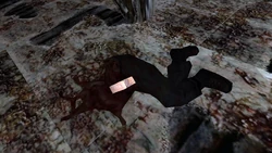 A Cerberus mercenary murdered by Piggsy inside Starkweather's Estate attic.