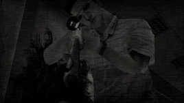 Assassination-MH2-Infobox-LoadscreenWii