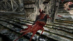 A Cerberus mercenary murdered by Piggsy inside Starkweather's Estate attic.