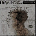 Human brain research poster.
