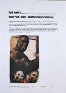 Description for Skullfaze/Bone D