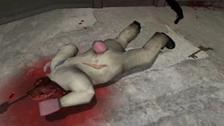 The key dropped by the White Rabbit.