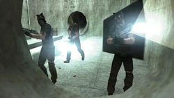 Bloodhounds armed with Shotguns with flashlight attachments.