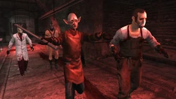 The Pervs at the fetish dungeon of Le Papillon Rouge.