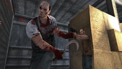 Bloodhounds inside the barn at the TV-MK Studios Backlot.