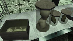 Human fetuses in jars at the Project Labs.