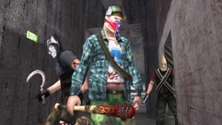 Bloodhounds searching for Daniel Lamb at the TV-MK Studio 1.