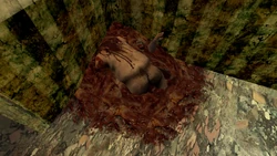 The inaccessible room in Hard as Nails, with the hidden corpse.