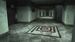 An installation of The Project on top of the Bees' Honey Pot.