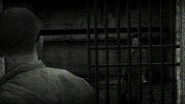 Awakening's loading screen in the Wii/PlayStation Portable.