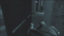 Cash spying on the Cerberus