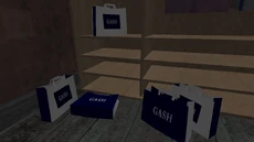 GASH shopping bags inside the Journalist's apartment.