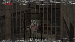 The White Rabbit filming his last snuff tape at the Darkwoods Penitentiary.