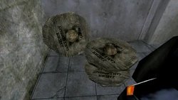 Cable reels of the company at the Carcer Chem Factory.