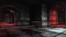 The halls of the dungeon.