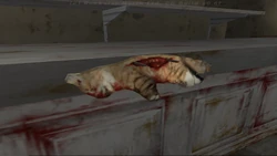 A dead cat.