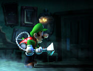 Luigi searching.