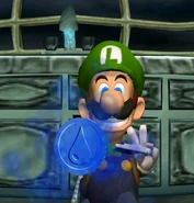 Luigi Obtaining the Water Medallion