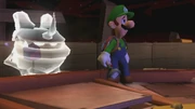 Luigi next to the Overset Possessor
