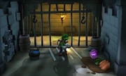  In The Dungeon Cells