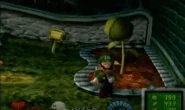 Luigi waters the plant and gets rewarded.