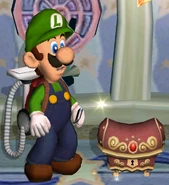 The chest containing Mario's Shoe.