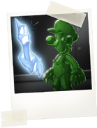 Polaroid-1 entry 7.png (64 KB) Gooigi scaring a Hider.