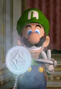 Luigi Obtaining the Ice Medallion