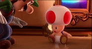 Luigi rescuing the Toad trapped here.