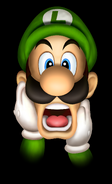 Luigi in the cover of the game.