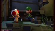 Luigi and Toad after just entering the Sewer