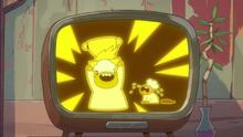 Head Chef 036
