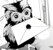 Owl in the manga