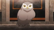 Zeke Ozma as an Owl.