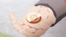 Hero Academy Insignia