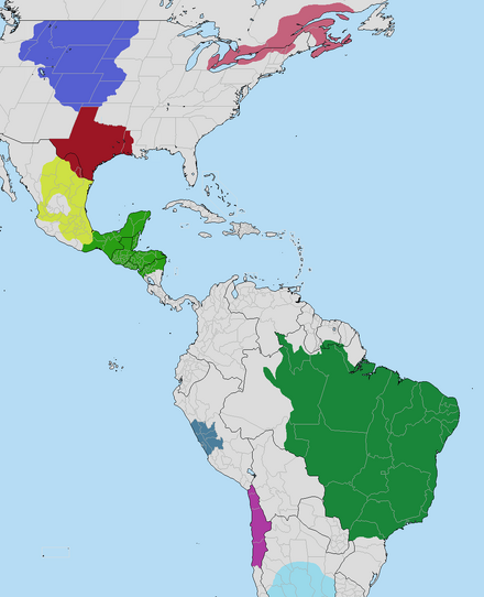 Dead Hand Americas.png