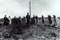 Deportees1B