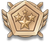 Heroic Legion Rank 4.png