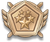 Heroic Legion Rank 5.png