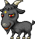 Black Goat