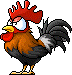 Rooster