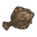 Halibut.png